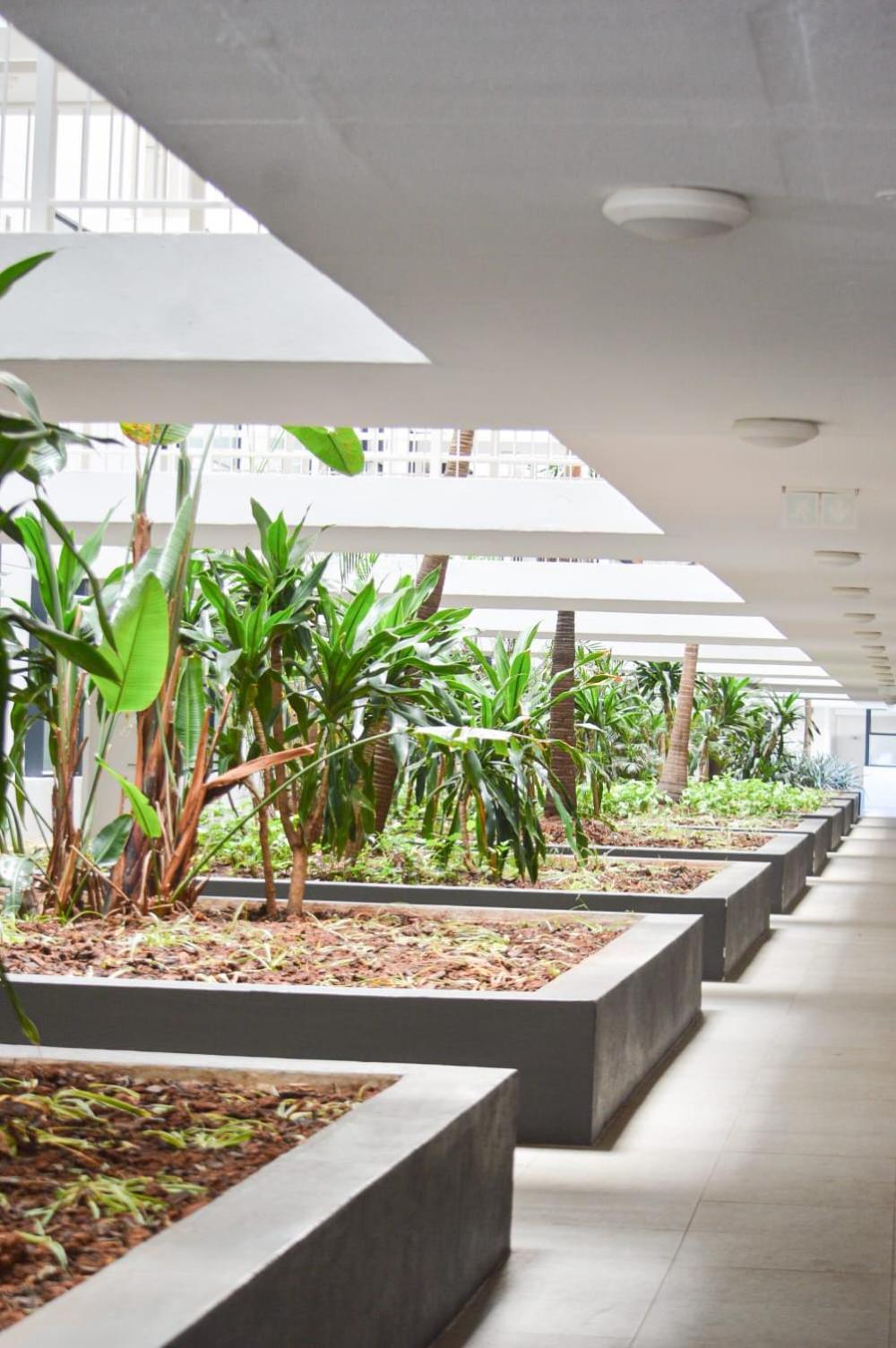 Millennial Amplify Comfort, 5 Min Walk To Gateway, Next To Cci And Saunders Park, Free Parking Apartment Durban